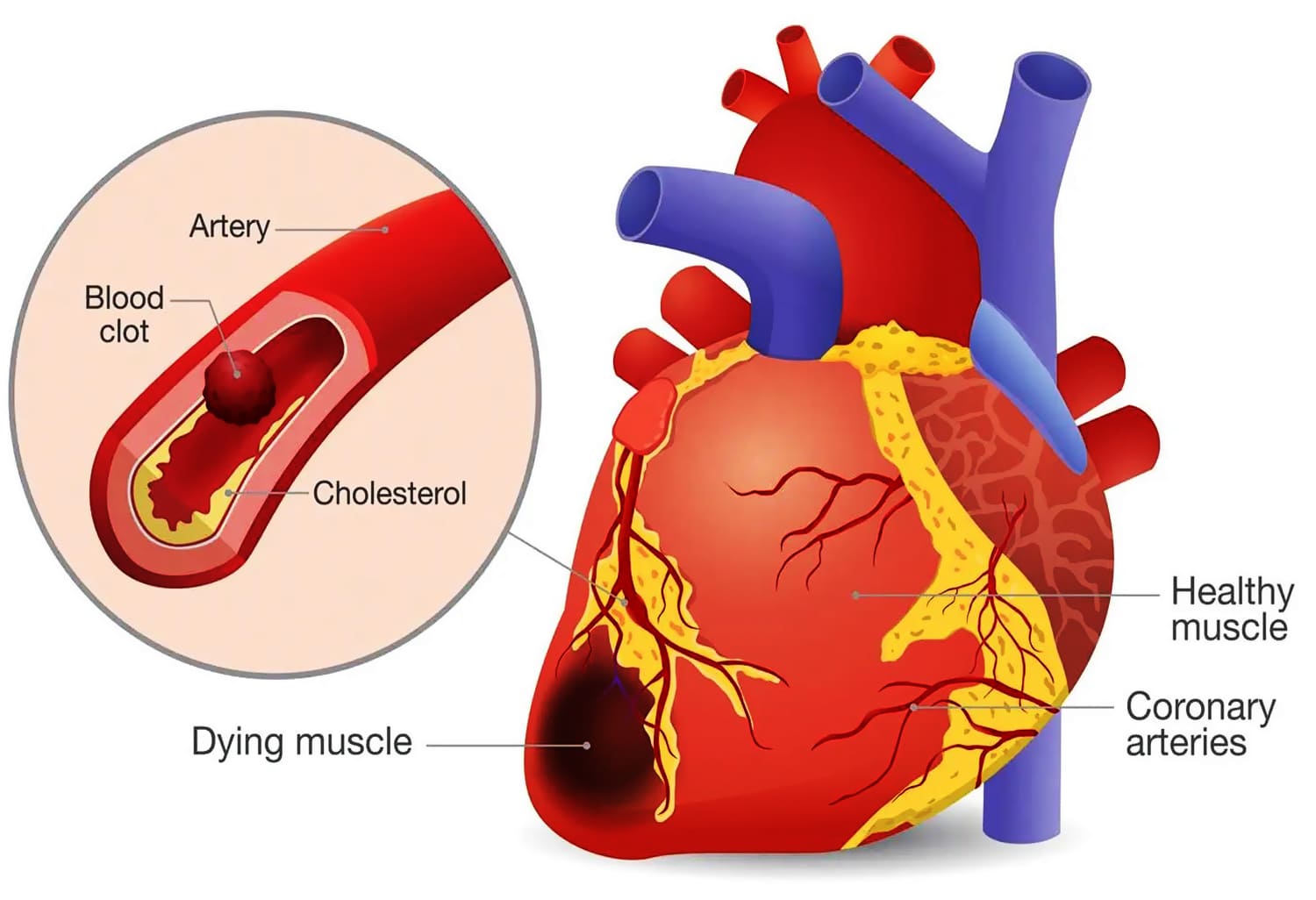 Untuk Mereka Yang Sakit